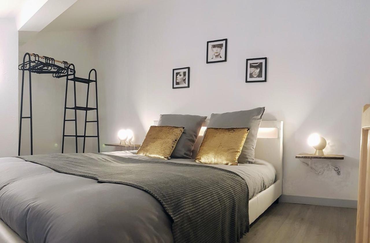 Les Nuits D'Anis - Appartements Hypercentre Le Puy-en-Velay Dış mekan fotoğraf