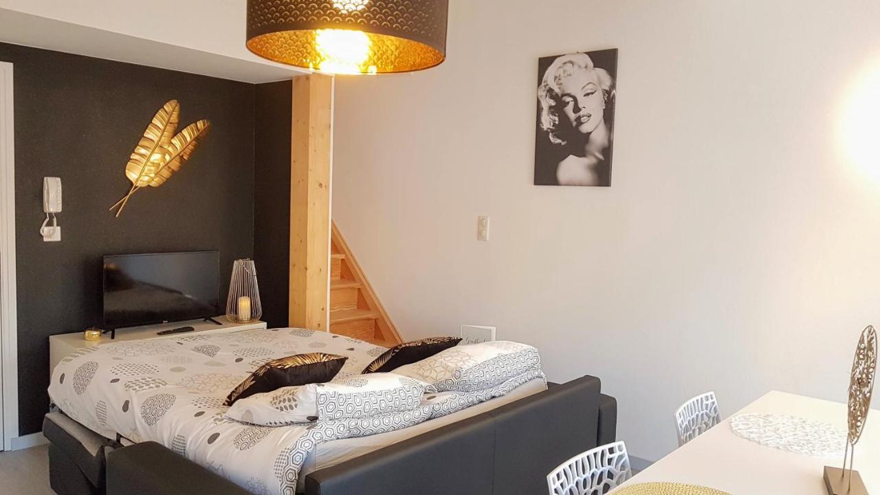 Les Nuits D'Anis - Appartements Hypercentre Le Puy-en-Velay Dış mekan fotoğraf