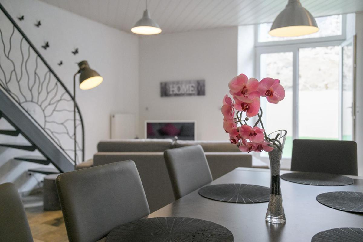 Les Nuits D'Anis - Appartements Hypercentre Le Puy-en-Velay Dış mekan fotoğraf