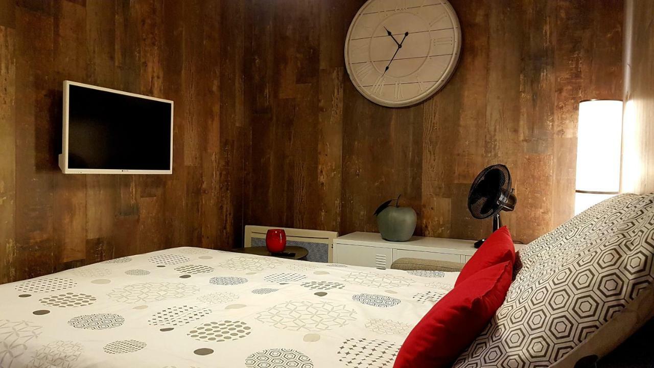 Les Nuits D'Anis - Appartements Hypercentre Le Puy-en-Velay Dış mekan fotoğraf