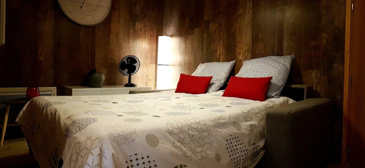 Les Nuits D'Anis - Appartements Hypercentre Le Puy-en-Velay Dış mekan fotoğraf